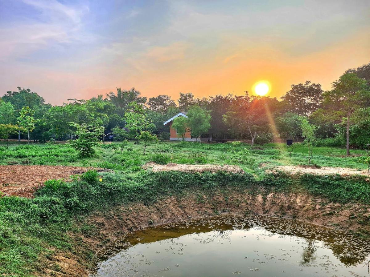 Ranakeliya Lodge - ヤーラ エクステリア 写真