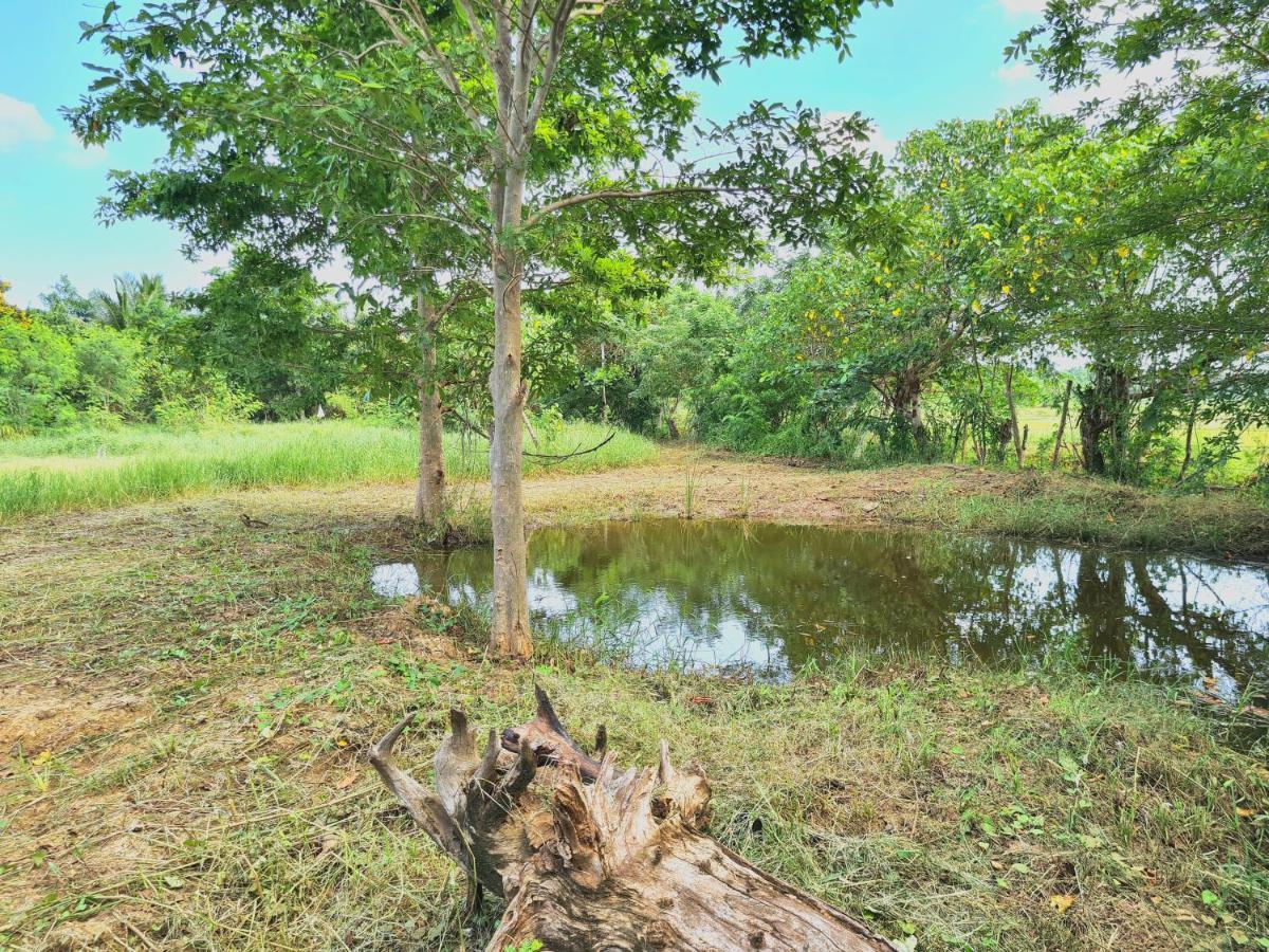 Ranakeliya Lodge - ヤーラ エクステリア 写真