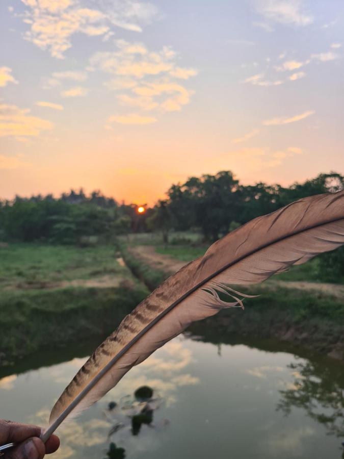 Ranakeliya Lodge - ヤーラ エクステリア 写真