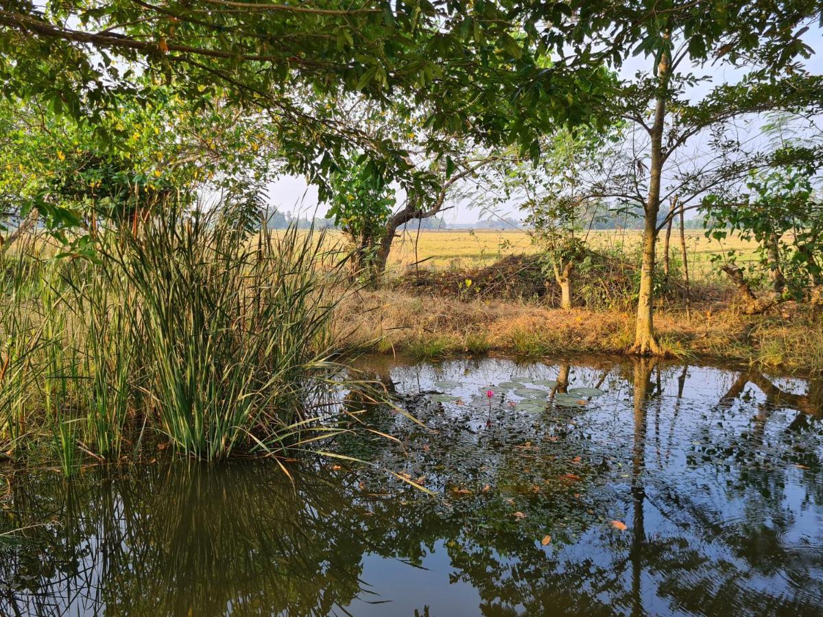 Ranakeliya Lodge - ヤーラ エクステリア 写真